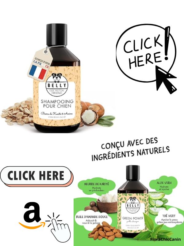 Saveur beurre de Karité